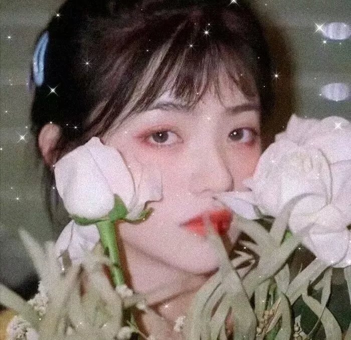 无论如何我爱你